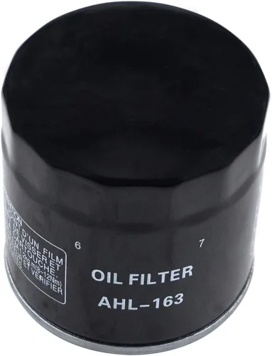 Vista 2 de AHL 163 - Filtro de aceite para BMW R850C Euro 850 2000 2001