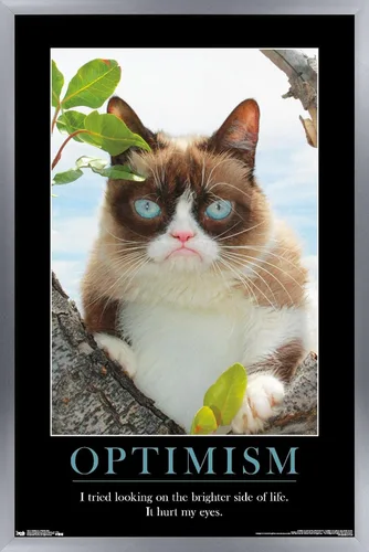 Vista 10 de Trends International Grumpy Cat - El Lado Más Brillante Póster de Pared, 14.725 x 22.375 pulgadas, Versión Enmarcada de Madera de Granero