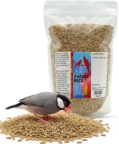 Vista 19 de Semillas de cáñamo Morning Bird, 4.5 lb