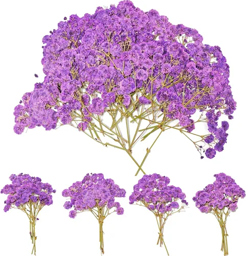 Vista 10 de 50 piezas de flores secas prensadas para el aliento del bebé Mini Rosa