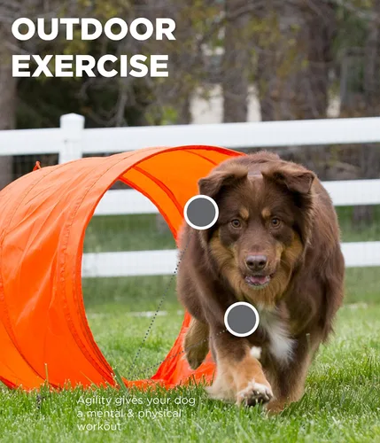 Vista 4 de Outward Hound Kit de entrenamiento de agilidad de perros Zipzoom para perros