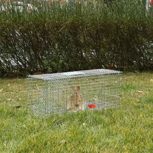 Vista 7 de Trampas para animales, trampa de animales vivos para gatos, conejos, ardillas, trampa para gatos callejeros, trampas vivas para mapaches, plegable