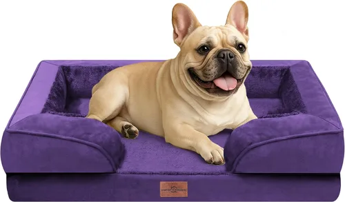 Vista 145 de Comfort Expression - Cama ortopédica para perros medianos, 28 x 19 pulgadas, cama impermeable y de apoyo de espuma con cojines removibles, sofá