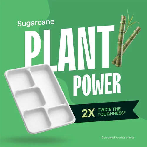 Vista 4 de Bandeja desechable 100% compostable, grande de 5 compartimentos [paquete de 125] – [12.5 pulgadas] Bandejas de almuerzo seccionales de bagazo