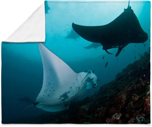 Vista 4 de CafePress Manta Rays - Manta de forro polar súper suave, 60 x 50 pulgadas