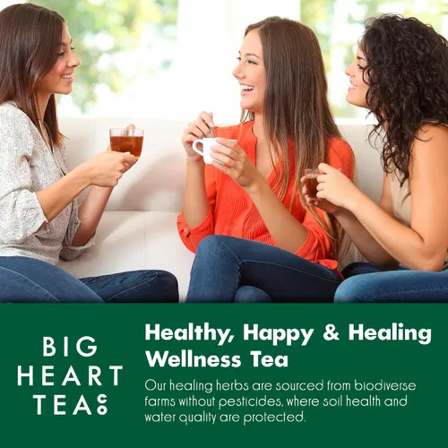Vista 5 de Lingtoolator Co. - Juego de regalo de bolsas de té para vacaciones, certificado orgánico, té de hierbas ayurvédicas, lotes pequeños de hierbas