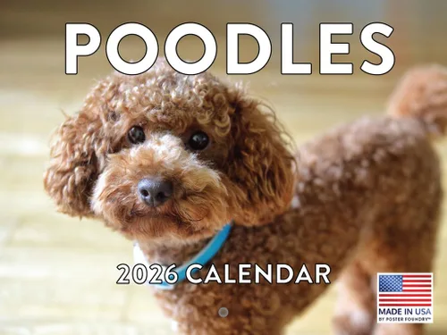 Vista 94 de Calendario mensual de pared Airedale Terrier Dog 2027 rojo (Airedale Terrier)