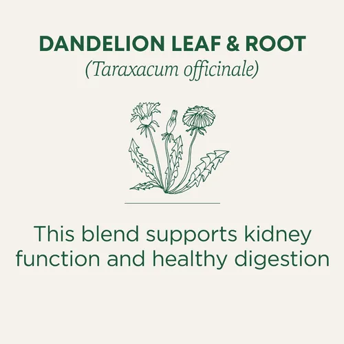 Vista 3 de Traditional Medicinals Té, hoja y raíz de diente de león orgánico, apoya la función renal y la digestión saludable, 48 bolsas de té (paquete de 3)