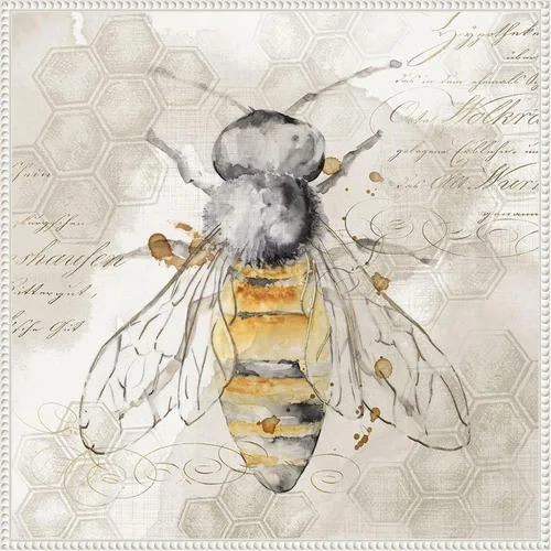 Vista 16 de Amanti Art Lienzo enmarcado para pared, 16 x 16 pulgadas, abeja reina II por Eva Watts, lienzo enmarcado para pared, obras de arte de animales