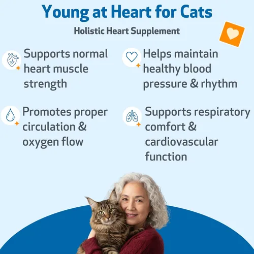 Vista 2 de Pet Wellbeing Young at Heart for Cats - Apoyo a la salud del corazón felino para personas mayores, bienestar cardiovascular con espino y agripalma