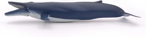 Vista 4 de Papo - Figura realista de ballena azul para niños - A partir de 3 años - Colección de vida marina - Juego educativo de mamíferos marinos - Juguete