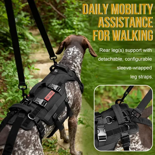 Vista 3 de OneTigris Arnés de elevación para perros grandes, soporte de cadera para perros, elevador de cuerpo completo con asas Invictus Chaleco