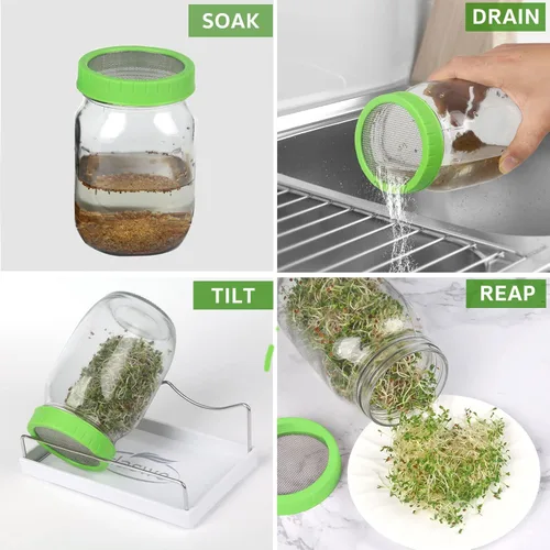 Vista 6 de Kit de tarros de germinación (tarros no incluidos) – 4 tapas de brotes de plástico de alta calidad con pantalla de acero inoxidable 316 para tarros