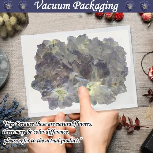 Vista 7 de Flores secas prensadas moradas grandes para adornos de manualidades de resina, 60 flores naturales prensadas para joyería de resina, caja
