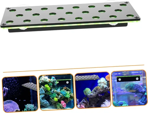 Vista 7 de balacoo Soporte fluorescente para acuario soporte de coral verde soporte de ventosa