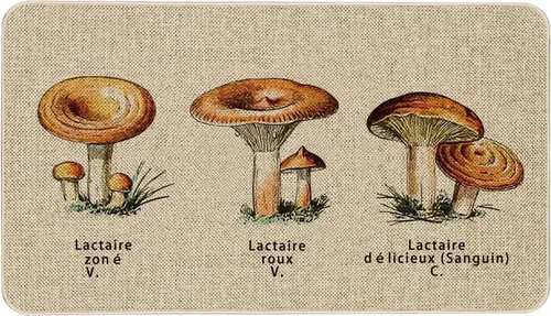 Vista 48 de Mloabuc® Tapete decorativo de flores, tapetes de cocina de arpillera de arpillera para mujer, accesorios de cocina para exteriores, 17 x 30 pulgadas