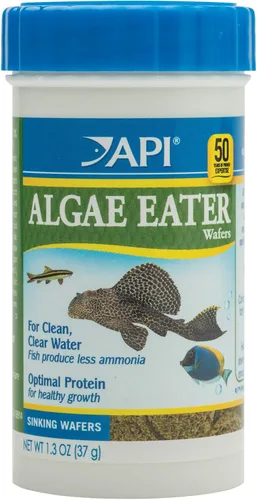 Vista 7 de API Obleas de algas para peces comedores de algas. Envase de 181 g