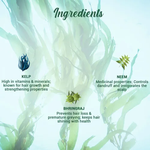 Vista 7 de Biotique Bio Kelp Protein Champú Para Cabello Caído, 6.4 fl oz