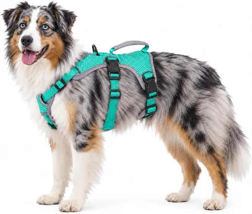 Vista 18 de Huntboo - Arnés para perro a prueba de escape, arnés reflectante con asa, duradero, chaleco ajustable para perros pequeños, medianos y grandes