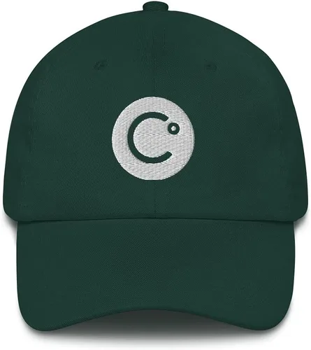 Vista 4 de Sombrero Celsius (Gorra bordada para papá) CEL Crypto