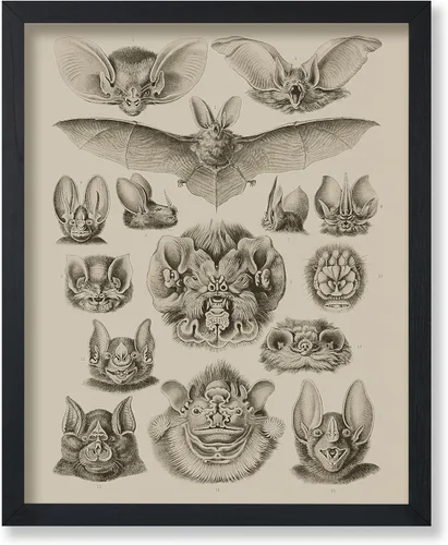 Vista 57 de Poster Master Póster de fotografía vintage, impresión gótica retro, regalo para artista, amigo, Halloween, familia espeluznante, disfraz extraño