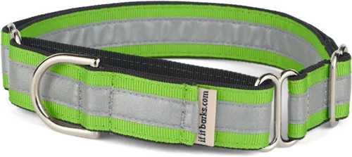 Vista 8 de If It Barks Collar Martingala reflectante de 1" para perros, ajustable, fabricado en Estados Unidos, pequeño, oro amarillo Amarillo Oro