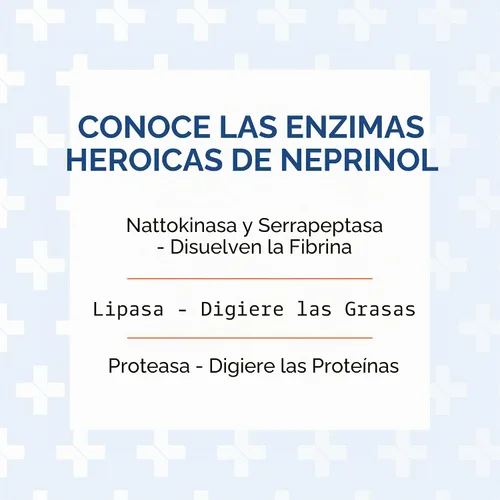 Vista 3 de Arthur Andrew Medical, Neprinol AFD, Mezcla de Múltiples Enzimas con Serrapeptasa y Natoquinasa, 90 Unidades (Paquete de 1)