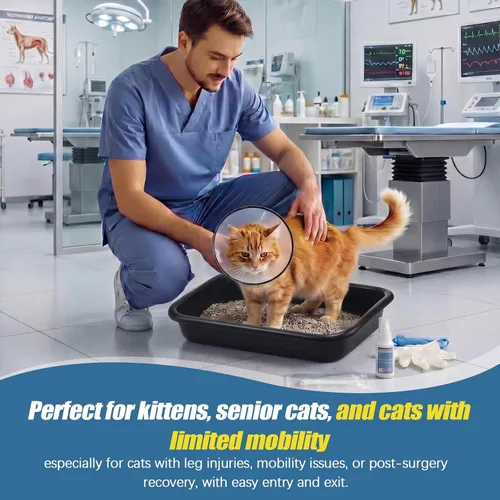 Vista 6 de Uiifan 3 cajas de arena extra grandes para gatos de entrada baja para gatos mayores, caja de arena abierta para gatos mayores, discapacitados, gatos