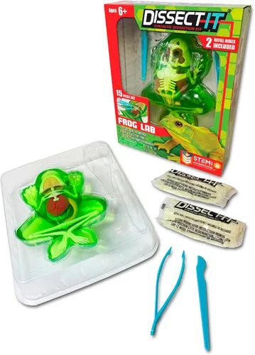 Vista 9 de Discover-It Kit de disección para niños, kit de laboratorio científico de ámbar sintético para aprender sobre insectos, juguetes científicos