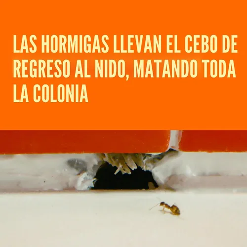 Vista 3 de TERRO T300 cebos líquidos para hormigas, 6 unidades, 2 - unidades Borax Formula, Kills the Queen & the Entire Colony, Liquid Ant Baits Indoor