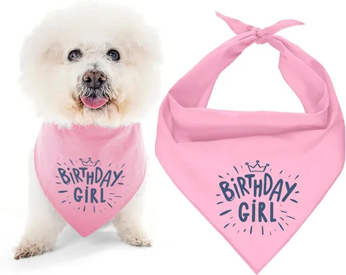 Vista 18 de Parisian Pet Bandanas naranjas para perros – Bandana ajustable para cachorros – Accesorios para perros para niños y niñas – Pañuelo para perros Best