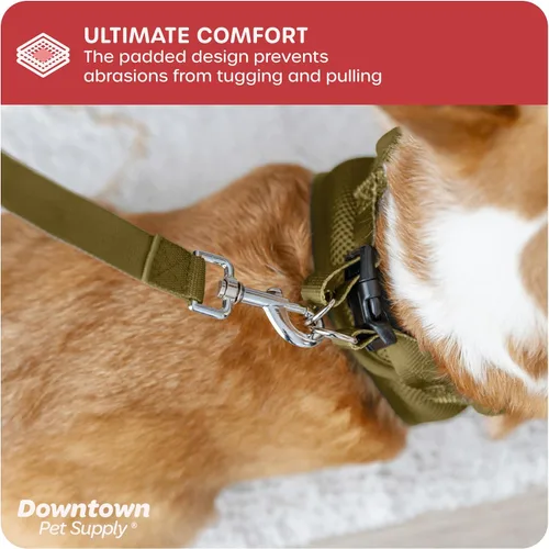 Vista 27 de Downtown Pet Supply Arnés para perro Step-in – Sin tirones, malla acolchada ajustable con ribete reflectante, correa de hebilla segura – Arnés