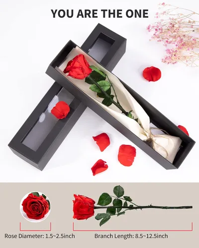 Vista 2 de Flores para Entrega Prime, Rosas Preservadas Regalos de Flores para Mujeres, Rosas Reales Regalos de Rosa Individual para Ella, Regalos