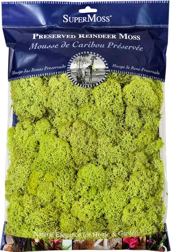 Vista 24 de SuperMoss 21786 Musgo de Reno Preservado Negro, Aprox. 3 lb Estuche a Granel