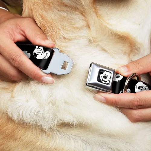 Vista 8 de Buckle-Down Collar de perro con hebilla de cinturón de seguridad, dálmatas para correr, patas, negro, gris, blanco, negro, 1 pulgada de ancho, se