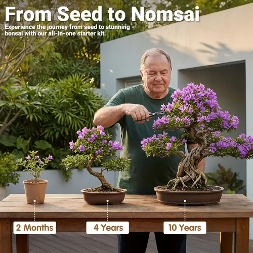 Vista 6 de Bonsai Tree Starter Kit for Beginners 5 Unique Indoor Plants