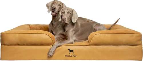 Vista 51 de NOAH & PAW Cama para perros pequeños, 20 x 15 x 8 pulgadas, cama para gatos de interior, espuma viscoelástica ortopédica de cáscara de huevo