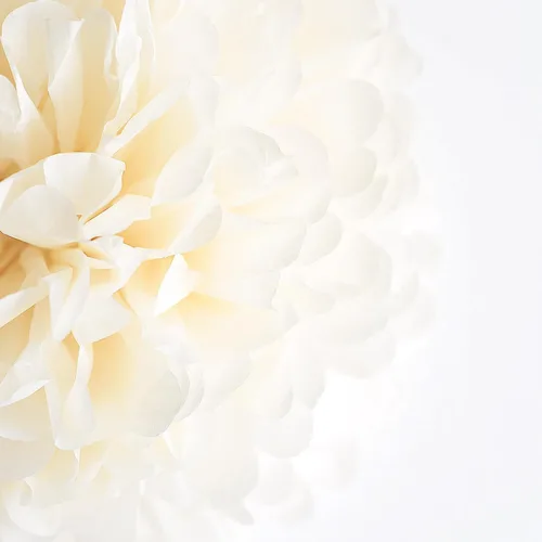 Vista 7 de Decoraciones de Fiesta de Cumpleaños Blancas y Doradas Mejoradas para Niñas, Mujeres y Hombres con Banda de Feliz Cumpleaños, Pancarta, Pompones