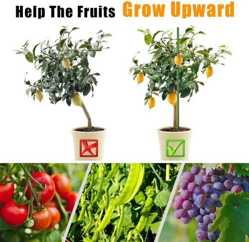 Vista 5 de LAVEVE Garden Stakes - Estacas de tomate de acero resistente de 36 pulgadas, estacas de soporte recubiertas de plástico para asegurar árboles