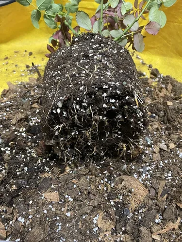 Vista 7 de Voulosimi Enmienda de suelo hortícola de perlita orgánica 5QT para plantas y crecimiento mejorado de drenaje mejorado (0.197-0.315 in), ZZ-154512156