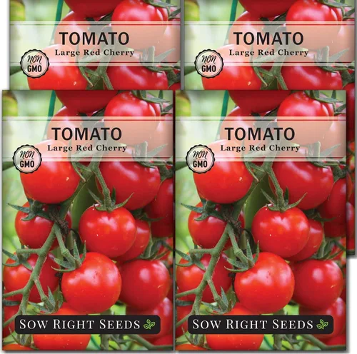 Vista 9 de Sow Right Seeds - Semillas grandes de tomate cereza roja para plantar - Paquete de reliquia sin OMG con instrucciones para plantar un huerto casero