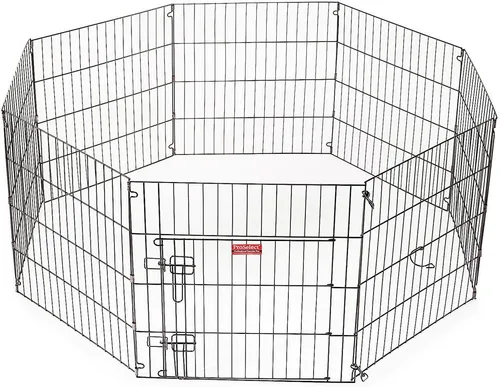 Vista 2 de Bolígrafos de ejercicio eternos ProSelect para perros y mascotas