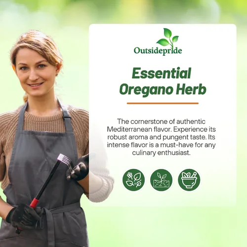 Vista 5 de Outsidepride Semillas de orégano comunes – 1/2 oz. Semillas de hierbas perennes, aromáticas fáciles de cultivar para uso culinario, sabrosos