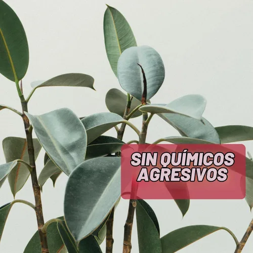 Vista 8 de Acnetame Píldoras para el acné, paquete de 2 120 píldoras, suplementos vitamínicos para brotes de acné, tabletas hormonales para eliminar la piel