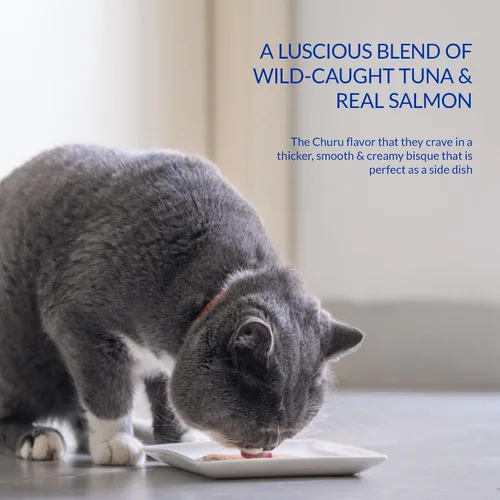 Vista 6 de INABA Churu Bisque para gatos mayores de 10 años, Puré cremoso en sobre, 1.4 onzas por sobre, 12 sobres en total, Receta de atún con salmón