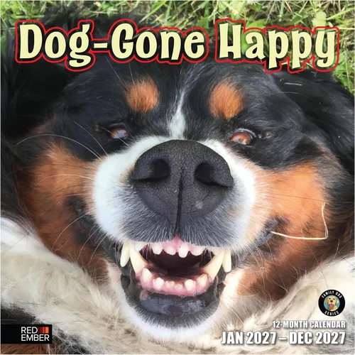 Vista 37 de RED EMBER Calendario de pared Doggy Disasters 2027 de 12 meses 01 - Perros traviesos