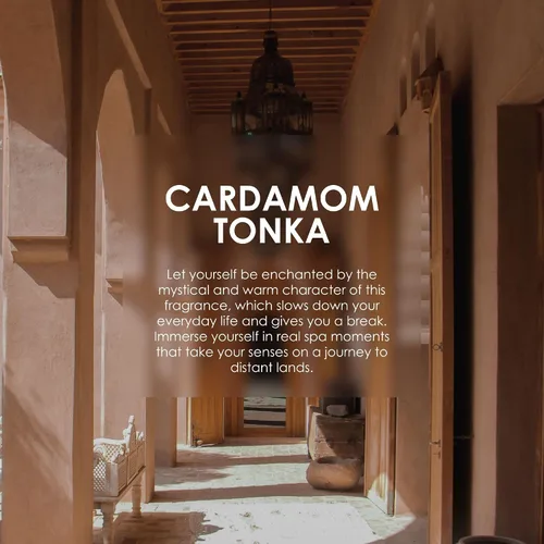 Vista 6 de Jean & Len Scent Experience Cardamom & Tonka, Eau de Toilette con fragancia de cardamomo y tonka, práctico mini perfume, ideal para llevar, botella