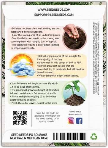 Vista 2 de Seed Needs Semillas de eneldo para plantar ramo de hierbas, semillas de hierbas sin OMG y sin tratar para plantar un jardín cultivado en casa