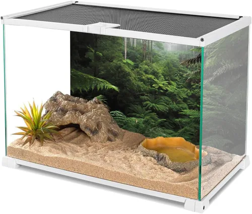 Vista 3 de AWERT Fondo de terrario de bosque brumoso, árbol verde, fondo de hábitat de reptil, bosque tropical, acuario, 24 x 12 pulgadas, fondo de poliéster