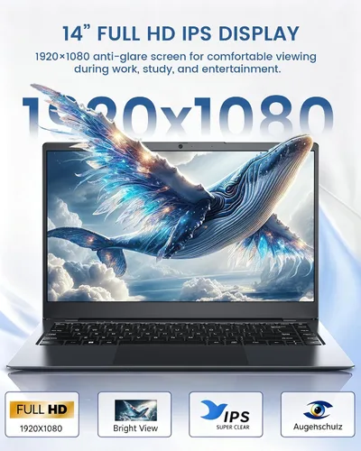 Vista 10 de Laptop de 14 pulgadas 12 GB de RAM, SSD de 128 GB, Pentium Gold Gris espacial